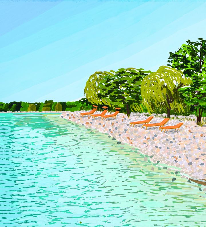 The shoreline · illustration, artist’s concept